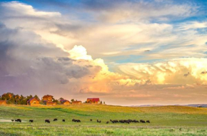 Отель Zion Mountain Ranch  Ордервилл